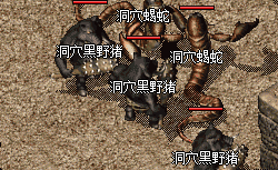 传奇发布网